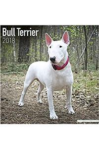 Bull Terrier Calendar 2018