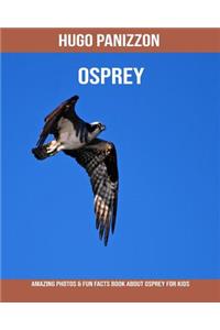 Osprey: Amazing Photos & Fun Facts Book about Osprey for Kids