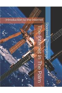 Internet in the Palm