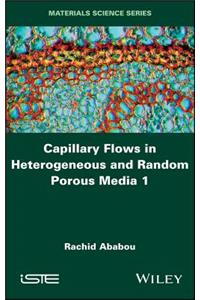 Capillary Flows in Heterogeneous and Random Porous Media