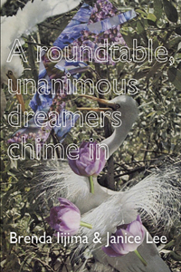 Roundtable, Unanimous Dreamers Chime in