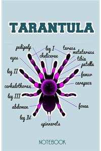 Tarantula Notebook