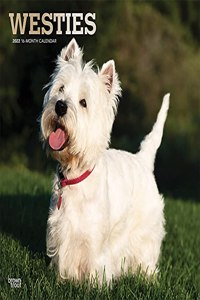 West Highland White Terriers 2022 Square