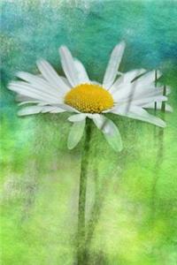 A White Daisy Watercolor Journal
