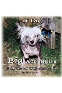 Small Dog - Big Adventure