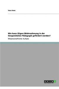 Wie kann (Eigen-)Wahrnehmung in der tiergestützten Pädagogik gefördert werden?