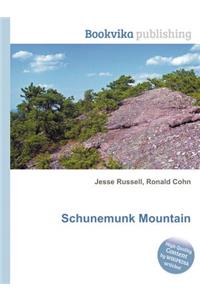 Schunemunk Mountain