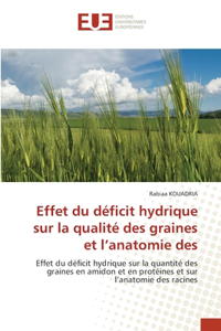 Effet du déficit hydrique sur la qualité des graines et l'anatomie des