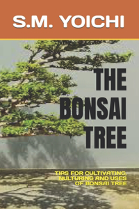Bonsai Tree