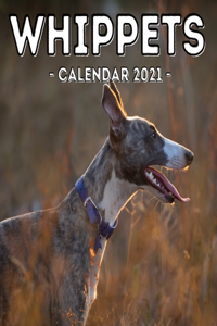 Whippets Calendar 2021