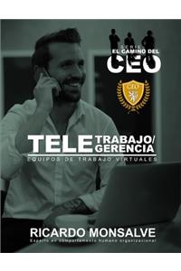 Teletrabajo/Telegerencia