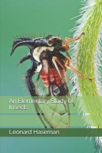 An Elementary Study of Insects