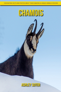 Chamois