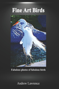 Fine Art Birds