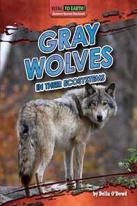 Gray Wolves in Their Ecosystems
