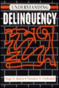 Understanding Delinquency