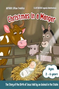Christmas in a Manger