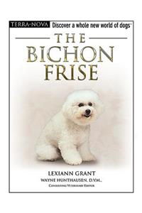 The Bichon Frise