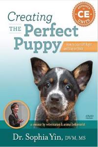 Creating the Perfect Puppy