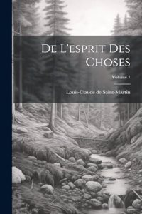 De L'esprit Des Choses; Volume 7