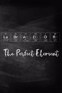 Labrador the Perfect Element