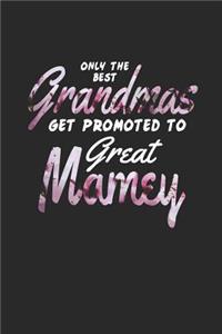 Only the Best Grandmas Get Promoted to Great Mamey