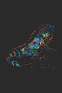 Iguana Colors