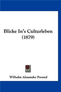 Blicke In's Culturleben (1879)