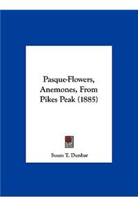 Pasque-Flowers, Anemones, from Pikes Peak (1885)