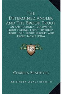 Determined Angler And The Brook Trout
