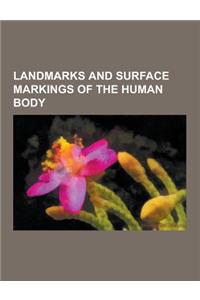 Landmarks and Surface Markings of the Human Body