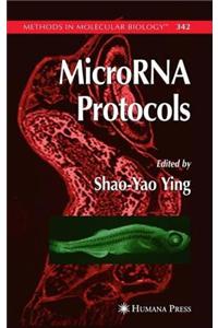 Microrna Protocols. Methods in Molecular Biology, 342.