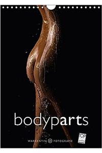 Bodyparts 2017