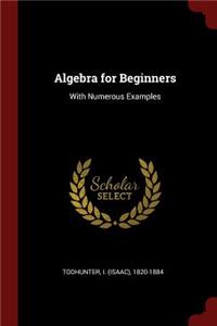 Algebra for Beginners