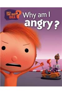 What's the Big Idea?: Why Am I Angry?