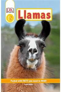 DK Readers Level 2: Llamas