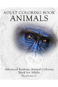 Adult Coloring Book: Animals