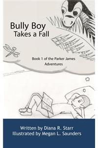 Bully Boy Takes a Fall