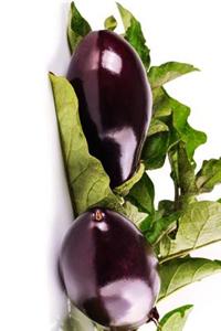 Delicious Eggplant Harvest, for the Love of Food