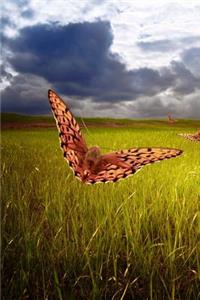 Butterfly Field Journal