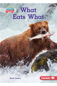 What Eats What
