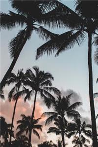 Captivating Coconut Palm Trees Journal