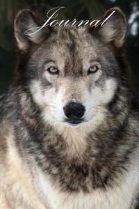 200 Page Wolf Journal: Wolves of Wolf Park (Ayla)