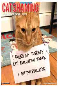 Cat Shaming 2023 Wall Calendar