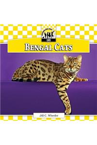 Bengal Cats