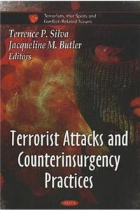 Terrorist Attacks and Counterinsurgency Practices