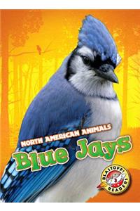 Blue Jays