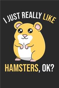 I Just Really Like Hamsters, OK?