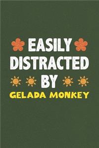 Easily Distracted By Gelada Monkey