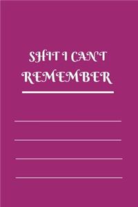 Shit I Can't Remember
